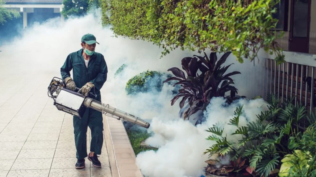 Fumigation Services