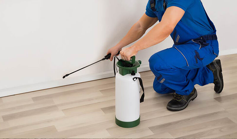 Post Construction Termite Maintenance